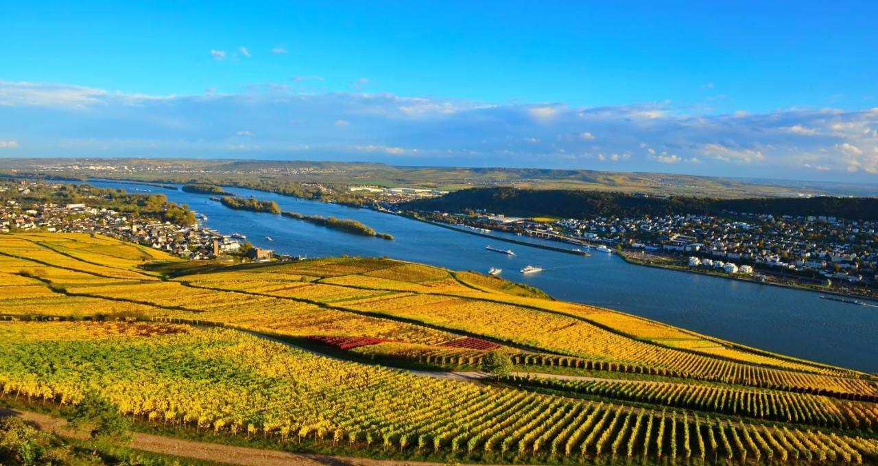 Hotel Kronenschloesschen Eltville am Rhein ภายนอก รูปภาพ